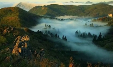 益陽安化?天下茶道、云臺山、茶香花海2日游