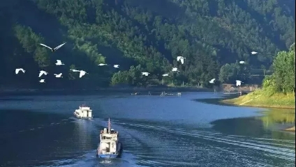 益陽安化?天下茶道、云臺山、茶香花海2日游