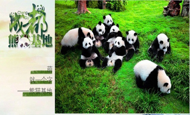 長(zhǎng)沙、成都雙飛6天