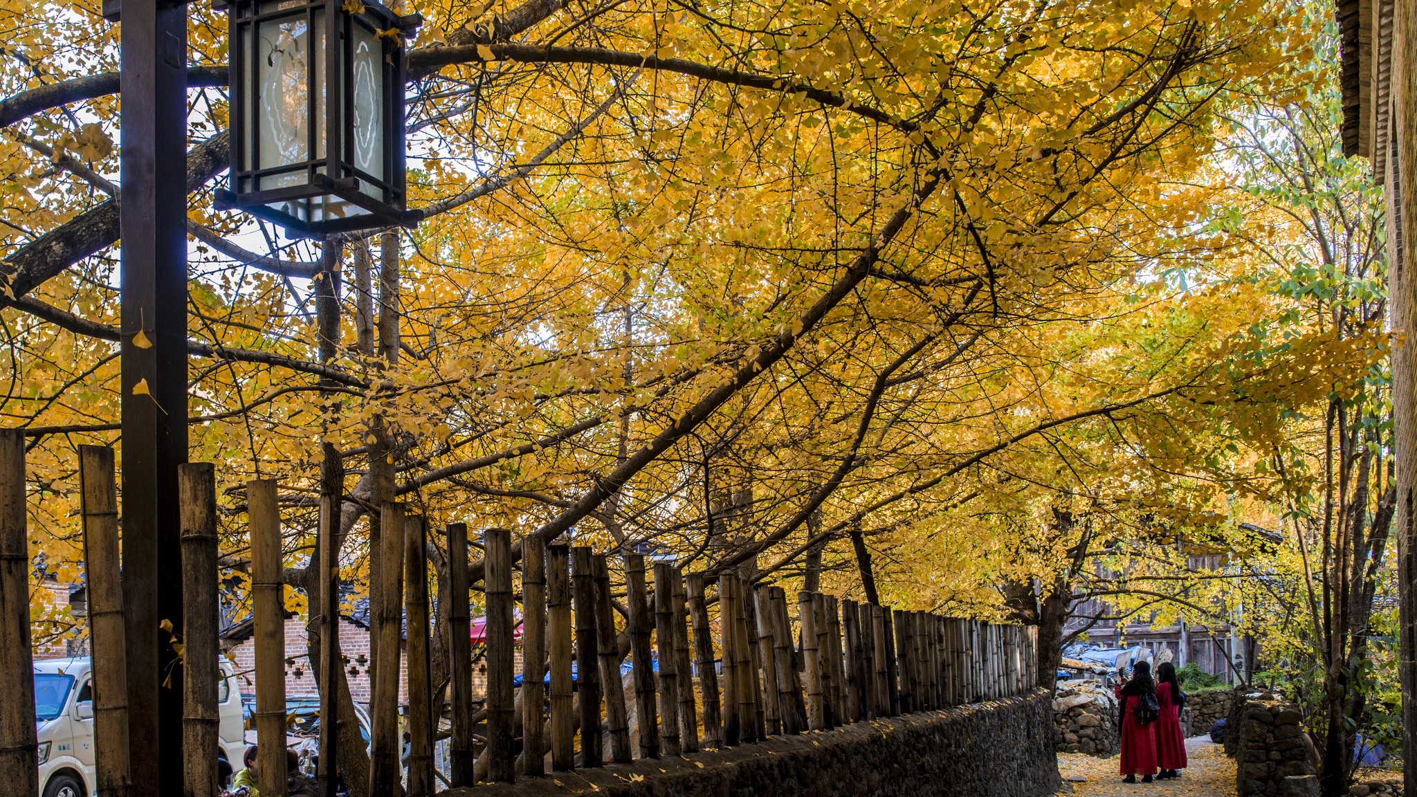 長沙直飛騰沖、瑞麗、芒市雙飛六日游
